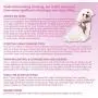 Pooch Outfitters Dog Harness Collection | Dog Walking with Style – Extensive Selection of Unique, Fashionable Harnesses That Suit Any Taste, Mood, Occasion Pooch Outfitters Dog Harness Collection | Dog Walking with Style – Extensive Selection of Unique, Fashionable Harnesses That Suit Any Taste, Mood, Occasion