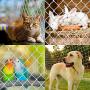 Pets Safety Rail Net, Anti-Fall Protective Netting for Toys Pets, Indoor Outdoor Pet and Balcony Window Stairs Guard