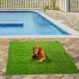 Puppy Pads, 34'' x 28'' XXL-Large, Ultra Absorbent - All Day Premium Dog Pads - 42 Count by Petphabet