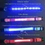 Blazin Safety LED Dog Collar – USB Rechargeable with Water Resistant Flashing Light – XSmall Blue Blazin Safety LED Dog Collar – USB Rechargeable with Water Resistant Flashing Light – XSmall Blue