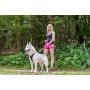 Neewa Running Harness