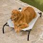 Coolaroo Elevated Pet Bed -
