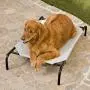 Coolaroo Elevated Pet Bed -