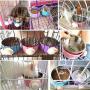 YEIRVE Crate Dog Food Water Bowls, 2-in-1 Plastic Bowl & Stainless Steel Pet Bowl, Removable Hanging Cat Food Bowls Perfect for Crates, Healthy & Hygienic Bowls Bowl.