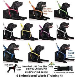 Dexil Limited Service Dog Blue Color Coded Alert Warning L XL Non Pull Dog Harness Prevents Accidents by Warning Others of Your Dog in Advance