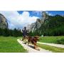 Neewa Running Harness