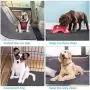 Stars s Pet Washable Pee Pads for Dogs,Waterproof Reusable Puppy Pads,Fast Absorbing Wee Mat,for Playpen, Housebreaking,Indoor Potty Training,Whelping, Incontinence, Travel