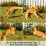 XINGYUNTOYS Cat Toys for Indoor Cats Interactive, 7 in 1 Multi-Pattern Funny Cat Toy Outdoor LED Flashlight with USB Chargeable, Kitten Accessories with Pet Collar XINGYUNTOYS Cat Toys for Indoor Cats Interactive, 7 in 1 Multi-Pattern Funny Cat Toy Outdoor LED Flashlight with USB Chargeable, Kitten Accessories with Pet Collar