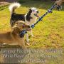 Dog Rope Toy for Aggressive Chewers - Medium to Large Breed Dogs | Extra-Large Tug of War Toy for Bonding with your Best Friend | 100% Cotton Chewing Rope - 36 Inches Long | Washable Blue| Bonus eBook