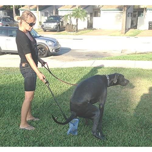 Pooper Scooper For Dogs - Free Bags - The ''Catchapoo'' Catches Dog Poo Before It Hits the Ground