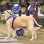 No-Pull Dog Harness with Leash,Adjustable Soft Padded Dog Vest, Reflective No-Choke Pet Oxford Vest with Easy Control Handle for Large Dogs (Blue, S)