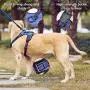 No-Pull Dog Harness with Leash,Adjustable Soft Padded Dog Vest, Reflective No-Choke Pet Oxford Vest with Easy Control Handle for Large Dogs (Blue, S) No-Pull Dog Harness with Leash,Adjustable Soft Padded Dog Vest, Reflective No-Choke Pet Oxford Vest with Easy Control Handle for Large Dogs (Blue, S)