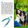DakPets Dog Nail Clippers and Trimmers - with Safety Guard to Avoid Over Cutting, Free Nail File, Razor Sharp Blade - Professional Pet Grooming Tool for Medium-Large Animals Cats