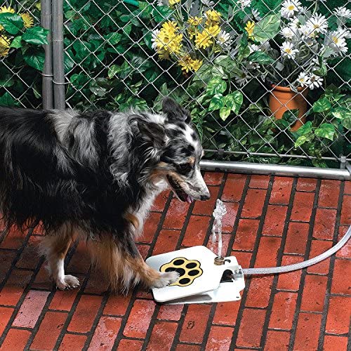 MATOP Dog Water Fountain