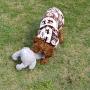 IFOYO Dog Squeaky Toy, Durable Dog Squeaker Toy Cute Animal Shaped Dog Interactive Toy Unique Tough Cloth Stuffed Dog Toy for Boredom