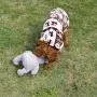 IFOYO Dog Squeaky Toy, Durable Dog Squeaker Toy Cute Animal Shaped Dog Interactive Toy Unique Tough Cloth Stuffed Dog Toy for Boredom IFOYO Dog Squeaky Toy, Durable Dog Squeaker Toy Cute Animal Shaped Dog Interactive Toy Unique Tough Cloth Stuffed Dog Toy for Boredom