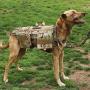 Tri Cloud Sports Dog Tactical Harness – 1000D Nylon Molle Vest Includes Leash | 3 Pouches | 3 Patches | Collapsible BPA Free Bowl