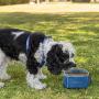 Friends Forever Collapsible Dog Bowl - 2 Pack Travel Dog Bowl, Water and Food Bowls for Dogs - Portable Pet Hiking Accessories