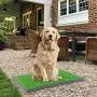 Sonnyridge Easy Dog Potty Training - Made with Artificial Grass - 3 Layered System - Antimicrobial Mat, Absorbs Odors and Hinders Bacterial Growth - Great for Puppies and Small to Medium Dogs Sonnyridge Easy Dog Potty Training - Made with Artificial Grass - 3 Layered System - Antimicrobial Mat, Absorbs Odors and Hinders Bacterial Growth - Great for Puppies and Small to Medium Dogs