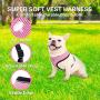 Dog Harness with Retractable Leash Set - Reflective Soft Padded Mesh Walking Vest No Pull Pink Puppy Harness and Adjustable 16.10ft Leash for Small Medium Dogs Puppies Cats Pets