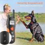 PetInn Dog Training Collar Bundle with Dog Treat Toy Ball