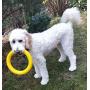 MASKOTA Dog Toys Flying Disc Ball & Rubber Ring