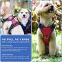 US AMY Pordlie Dog Harness No Pull Outdoor, Upgraded Easy Put on & Off No Choke Pet Harness with Control Training Handle, Adjustable Reflective Padded Vest Harness for Small Medium Large Dogs