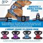 Launch Pet No-Pull Dog Harness Adjustable & Breathable Heavy Duty Reflective Vest Material with Front Clip and 2 Strong Leash Attachments & Easy Walk Control Handle for Medium Dogs - (Medium, Blue)