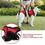 Dog Support Harness, Pet Walking Aid Lifting Pulling Vest Sling Support Rehabilitation for Old & Injured Dogs(M-Front) Dog Support Harness, Pet Walking Aid Lifting Pulling Vest Sling Support Rehabilitation for Old & Injured Dogs(M-Front)