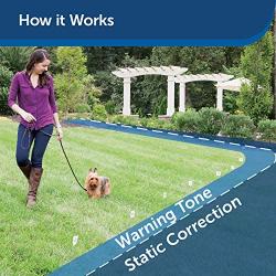 PetSafe Stubborn Dog In-Ground Fence for Dogs and Cats - from the Parent Company of INVISIBLE FENCE Brand - Multiple Wire Gauge Options - Keep Pets Secure in Your Yard
