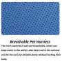 TBRAND Soft Padded Dog Vest Harness and Leash Set, No Pull Reflective Adjustable Pet Vest Harnesses for Puppy Kitten, Soft Mesh Chest Harness for Pet Kitten Puppy Rabbit