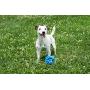 Hero USA, Made in USA Soft Rubber Dog Toy, Ideal for Fetching & Chewing, Indestructible Dog Toy