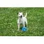 Hero USA, Made in USA Soft Rubber Dog Toy, Ideal for Fetching & Chewing, Indestructible Dog Toy Hero USA, Made in USA Soft Rubber Dog Toy, Ideal for Fetching & Chewing, Indestructible Dog Toy