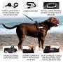 Padded Dog Harness Set: No More Struggling! Easy & Full Control With a Durable No-Pull Harness, Comfortable for Your Pet, Small to X-Large. Reflective & Washable. Includes a Leash and a Car Seat-Belt
