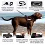 Padded Dog Harness Set: No More Struggling! Easy & Full Control With a Durable No-Pull Harness, Comfortable for Your Pet, Small to X-Large. Reflective & Washable. Includes a Leash and a Car Seat-Belt Padded Dog Harness Set: No More Struggling! Easy & Full Control With a Durable No-Pull Harness, Comfortable for Your Pet, Small to X-Large. Reflective & Washable. Includes a Leash and a Car Seat-Belt