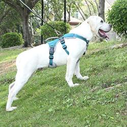 BELPRO Multi-Use Support Dog Harness, Escape Proof No Pull Reflective Adjustable Vest with Durable Handle, Dog Walking Harness for Big/Active Dogs