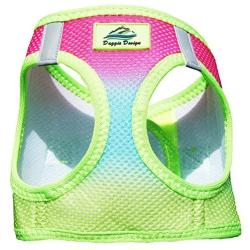 American River Dog Harness Ombre Collection - Rainbow XXL