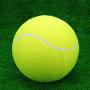 9.5 Inches Dog Tennis Ball Giant Big Inflatable Outdoor Tennis Ball Signature Mega Jumbo Pet Toy Training Ball Pet Chew Toy