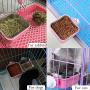 Hamiledyi Cat Crate Bowl Stainless Steel Water Food Feeder Dish 2 PCS Removable Dog Cage Hanging Bowl with Bolt Holder for Kitten Puppy Bird Rabbit