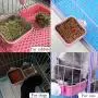 Hamiledyi Cat Crate Bowl Stainless Steel Water Food Feeder Dish 2 PCS Removable Dog Cage Hanging Bowl with Bolt Holder for Kitten Puppy Bird Rabbit Hamiledyi Cat Crate Bowl Stainless Steel Water Food Feeder Dish 2 PCS Removable Dog Cage Hanging Bowl with Bolt Holder for Kitten Puppy Bird Rabbit