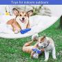 Dog Toothbrush Toy for Teeth Cleaning, Dog Chew Toy for Dental Care, Interactive Dog Toys to Relieve Stress, Toothbrush Squeaky Toys for Dogs