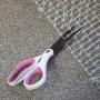 MiMu Dog & Cat Deterrent Mat Outdoor & Indoor Cat Scat Spike Mat Cat Repellent Spikes - Continuous Roll in Clear