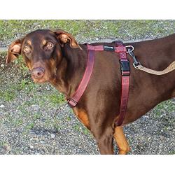 GLADTON Extra Strength No Pull Adjustable Dog Harness for Medium Large Dogs. Pet Harness Large Medium Dogs. Large Dog Harness Chest 23.63”- 40.16”, Medium 19.69”- 30.32”.