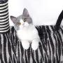 SAsagi Creative Zebra Cat Tree,Scratching Board Cat Furniture Tower House Cat Nest Toy Can Multi-Places for Play Sleep Grinding Claws