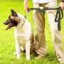 Paw Lifestyles Dog Poop Bag Holder Leash Attachment - Fits Any Dog Leash - Includes Free Roll Of Dog Bags – Poop Bag Dispenser Paw Lifestyles Dog Poop Bag Holder Leash Attachment - Fits Any Dog Leash - Includes Free Roll Of Dog Bags – Poop Bag Dispenser
