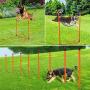 XiaZ Dog Agility Course Equipments, Obstacle Agility Training Starter Kit for Doggie, Pet Outdoor Games - Dog Tunnels, 8 Piece Weave Poles, Jumping Ring, High Jumps, Pause Box