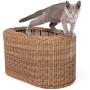 D+ Garden Fun Stackable Cat Condo for Indoor Cats - Interactive Play Rattan Cat House for Indoor Cats Kitty, Pet Friendly Top/Side House Entry, Cat Bed Enclosed