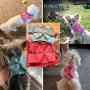 Ranphy Dog Harness and Matching Leash Set Girl Bling Rhinestone No-Pull Puppy Vest Doggie Cat Walking Training Harness Soft Bow Suede Leather Collar Adjustable for Yorkie Chihuahua Small Pet Dog