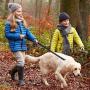 Eco-clean 6 FT Reflective Dog Leash with 2 Handles for Large Dogs