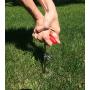 Prankish-Pet Dog Stake with Tie Out Cable - The Complete Tether System for Small to Medium Pets to Play in The Yard, Camping, or Outdoors